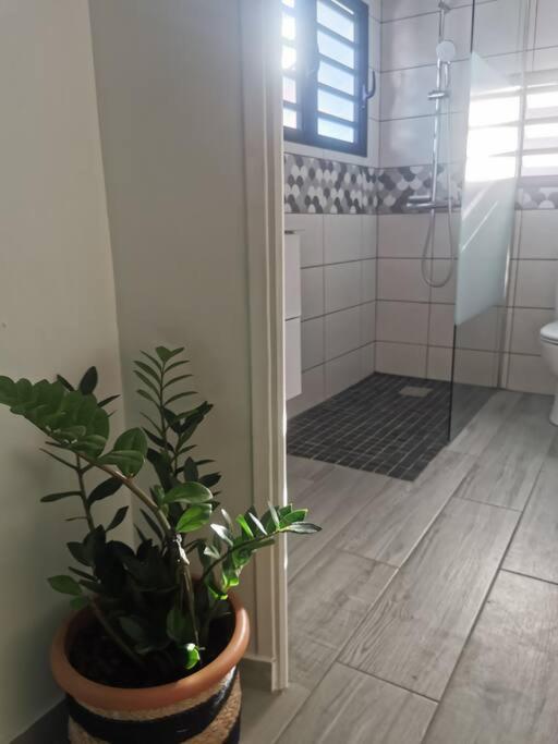 Apartament La Caz'A Loca Saint Pierre Zewnętrze zdjęcie